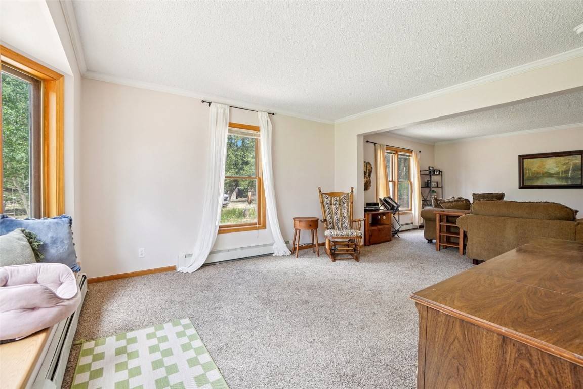 Fairplay, CO 80440,1637 Mullenville RD