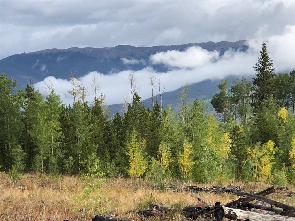 Silverthorne, CO 80498,2510 Ryan Gulch RD #2512