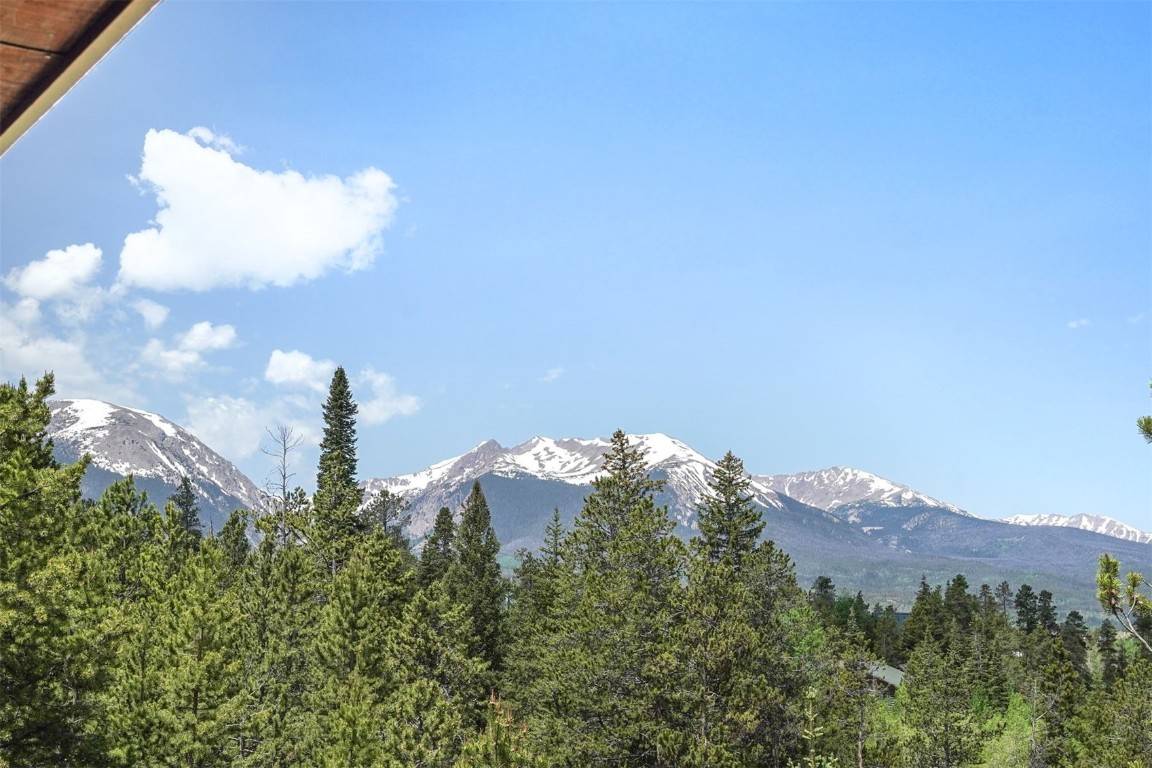 Dillon, CO 80435,113 Lookout Ridge DR