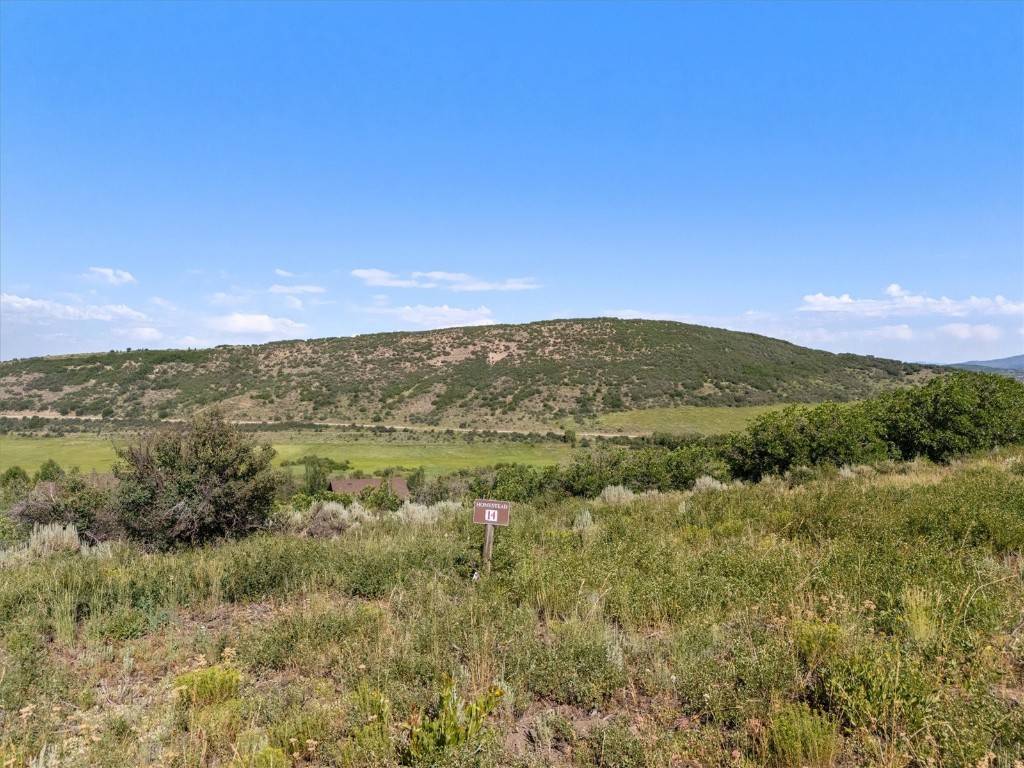 Oak  Creek, CO 80467,32095 Judges Viewpoint