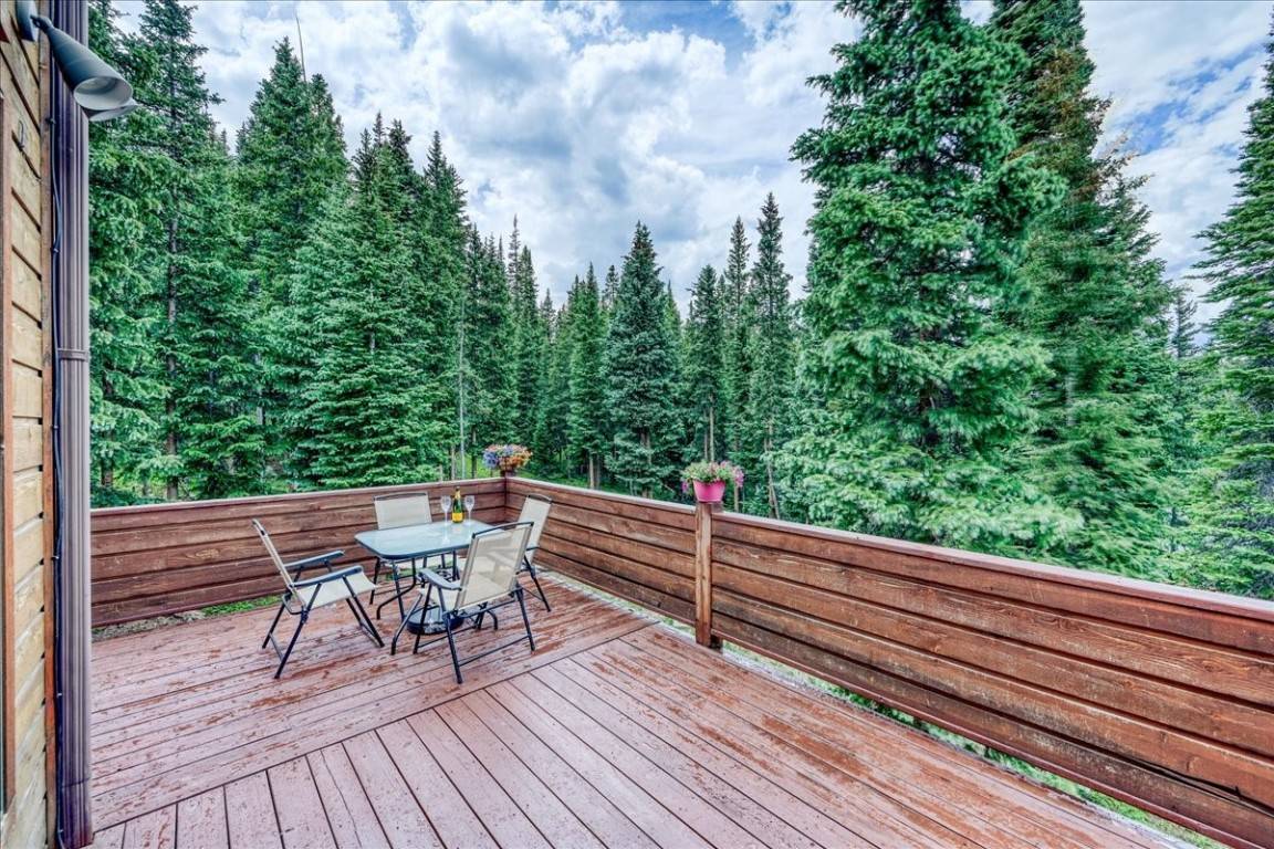 Breckenridge, CO 80424,0453 CR 672
