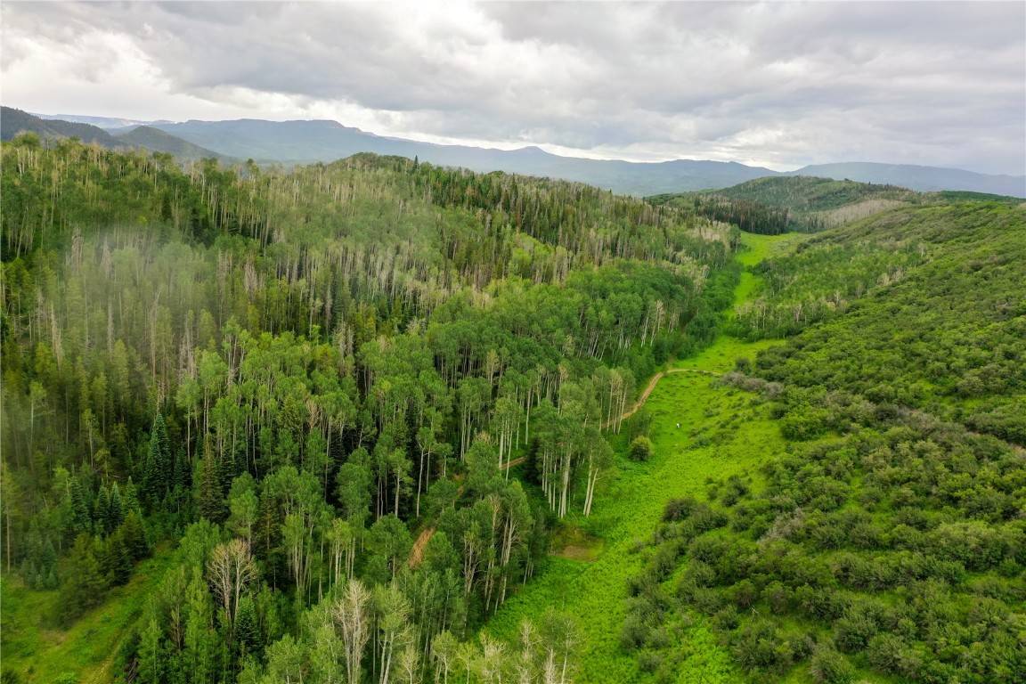 Oak  Creek, CO 80467,19455 County Road 29