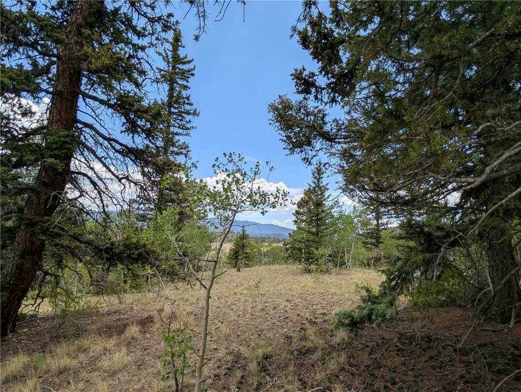 Jefferson, CO 80456,463 Cumberland DR