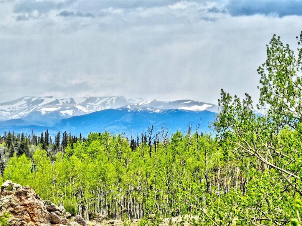 Como, CO 80432,142 Puma CT
