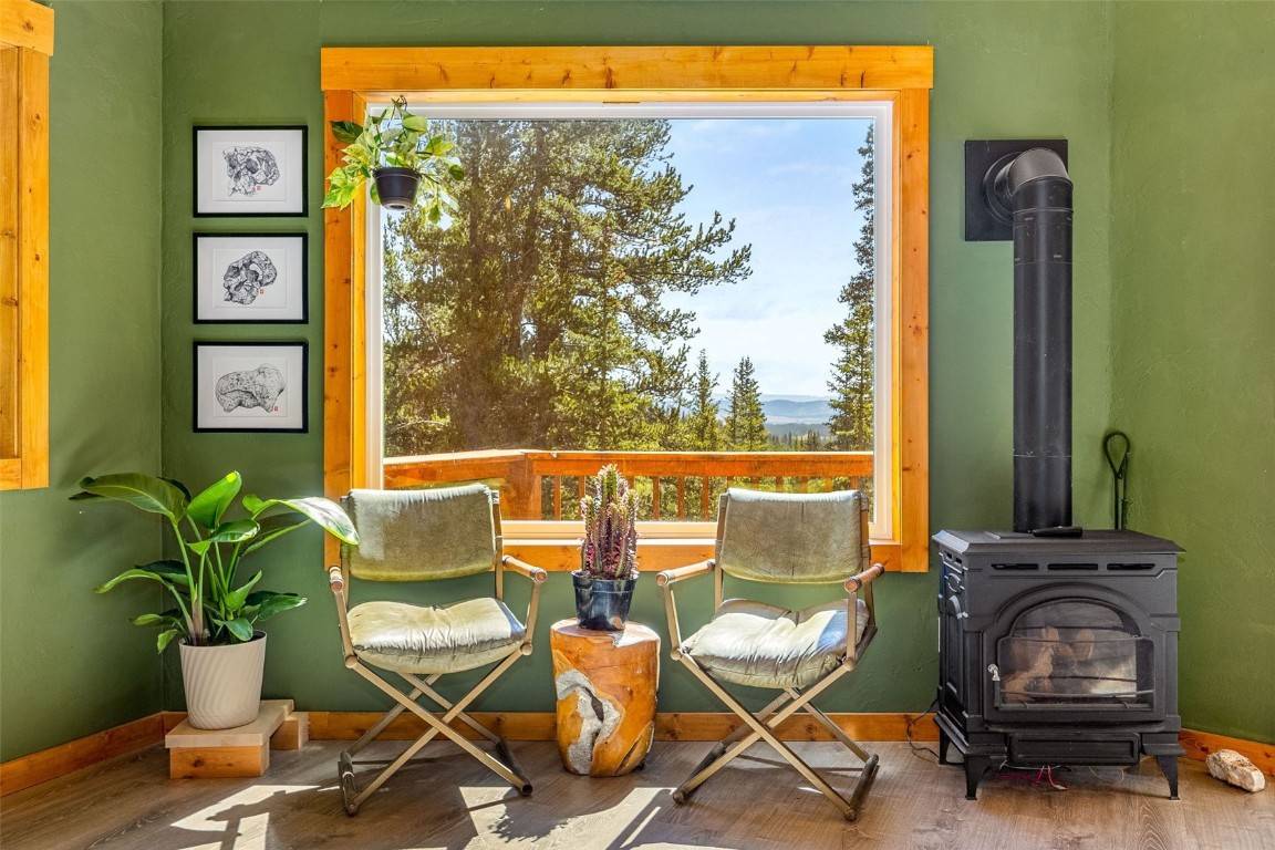 Fairplay, CO 80440,51 Placer CT