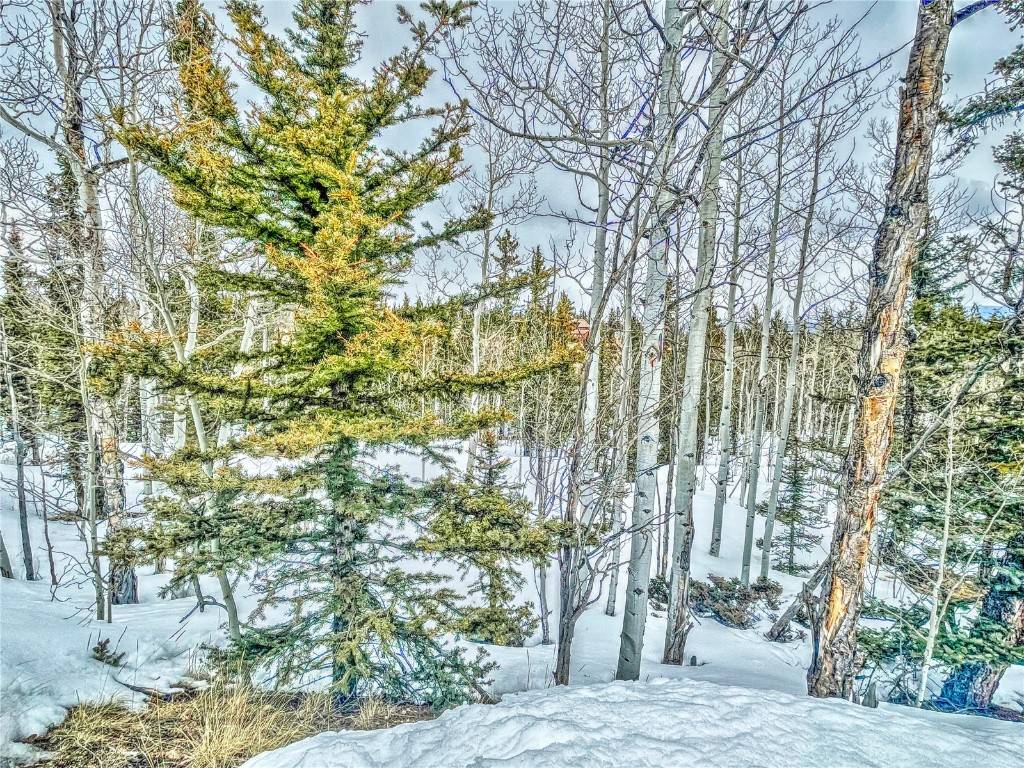 Como, CO 80456,486 Pathfinder RD