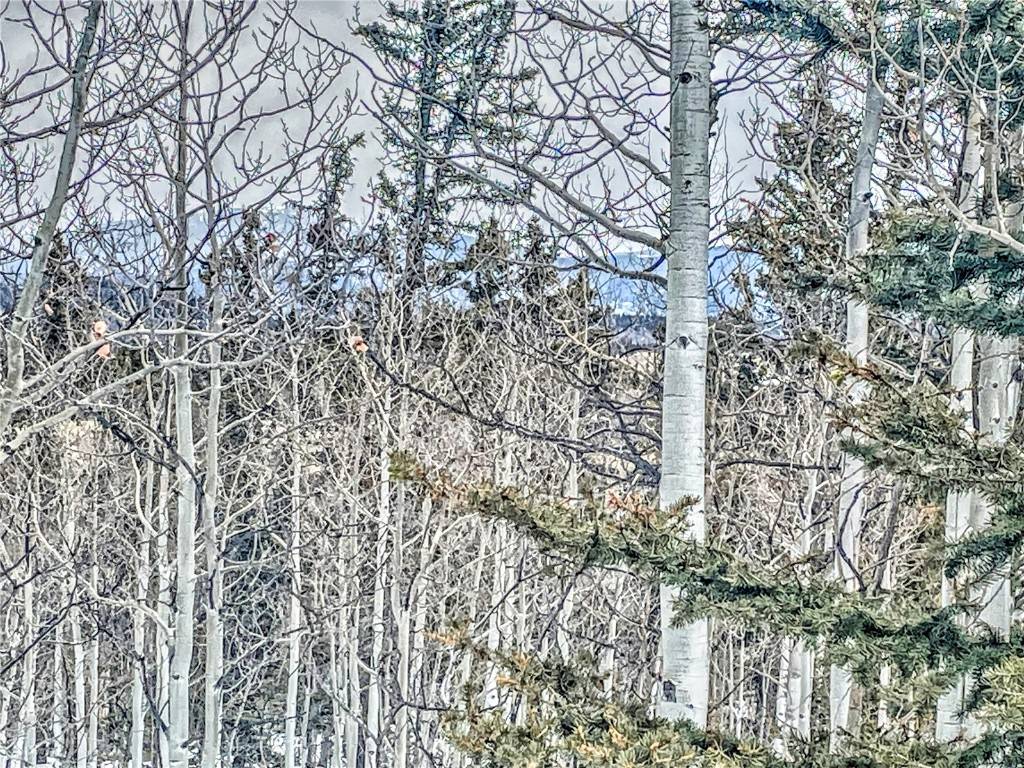 Como, CO 80456,486 Pathfinder RD