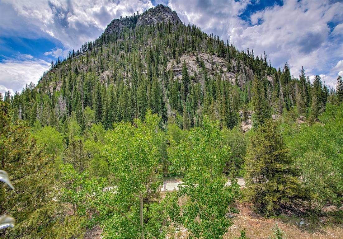 Frisco, CO 80443,400 W Main ST #306