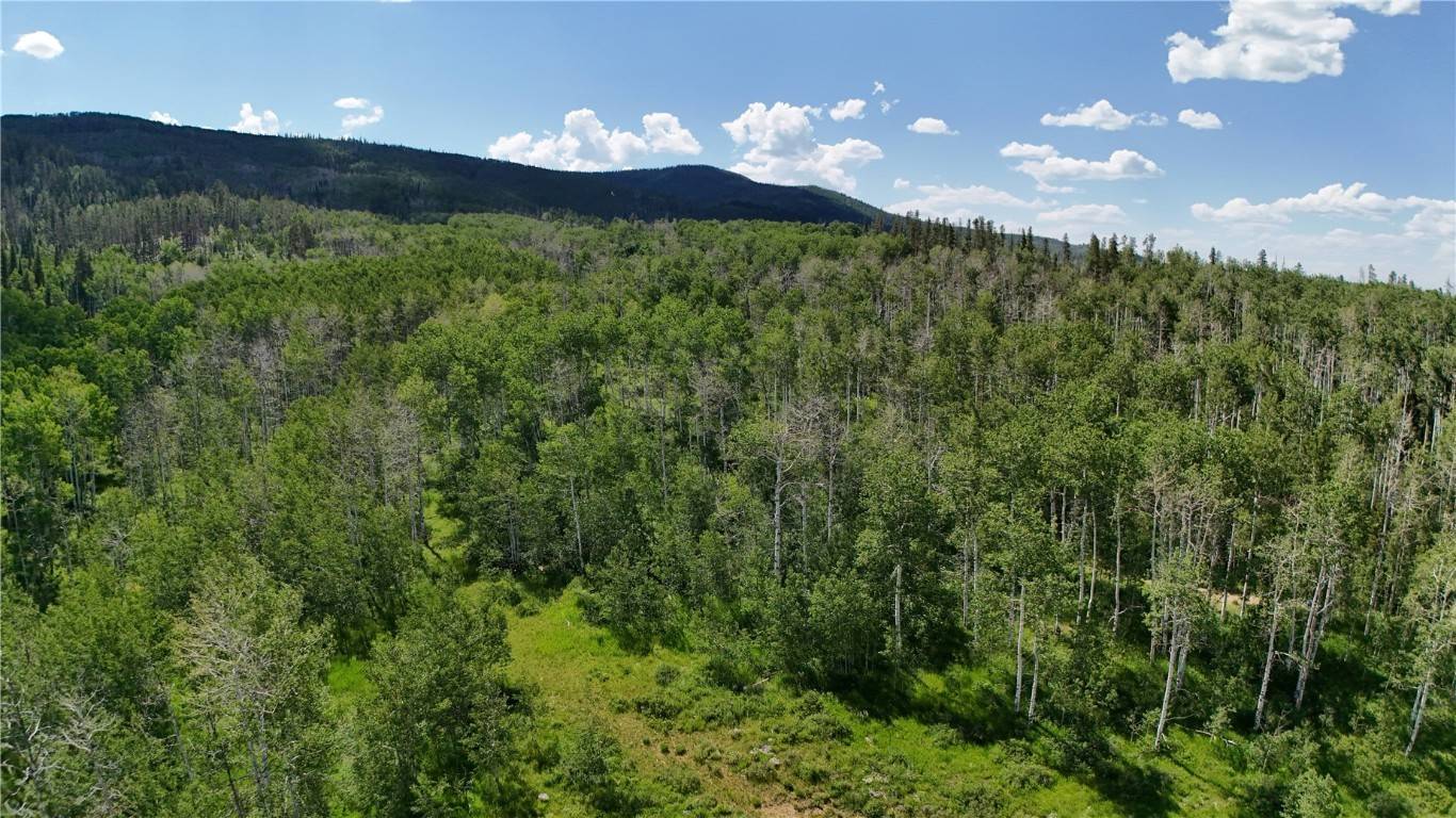 Oak  Creek, CO 80467,Lot 23 Gallop Trail