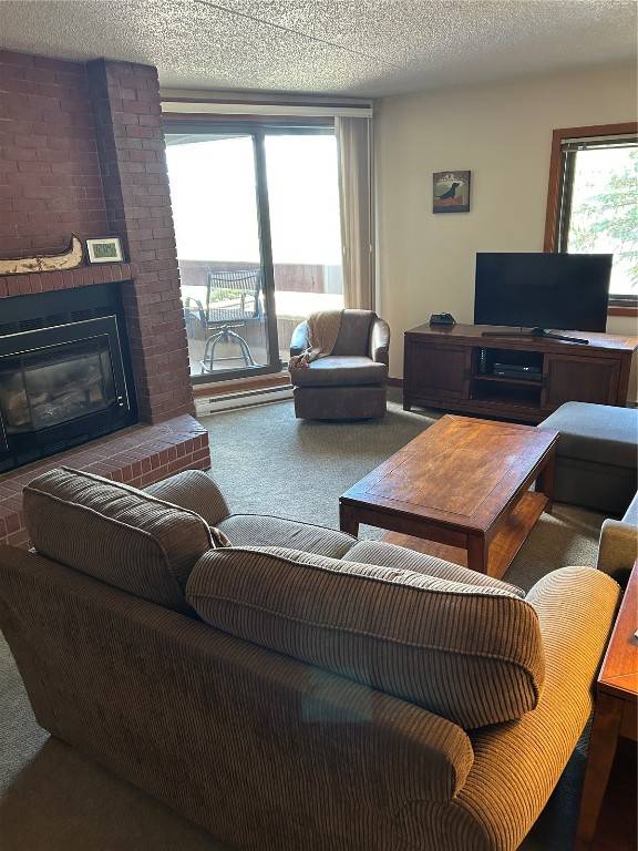 Dillon, CO 80435,317 La Bonte #107