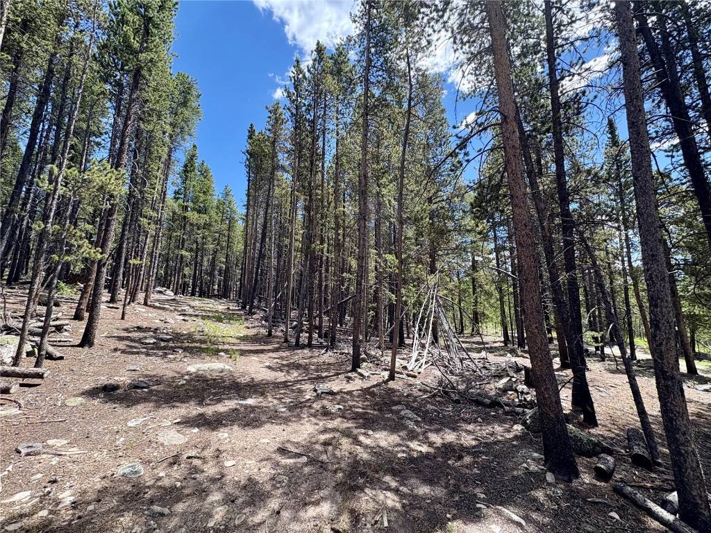 Fairplay, CO 80440,000 Melba LN