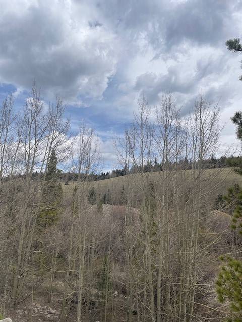 Fairplay, CO 80440,1582 Beaver Creek RD