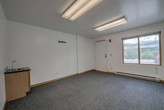 Silverthorne, CO 80498,256 Annie RD #B