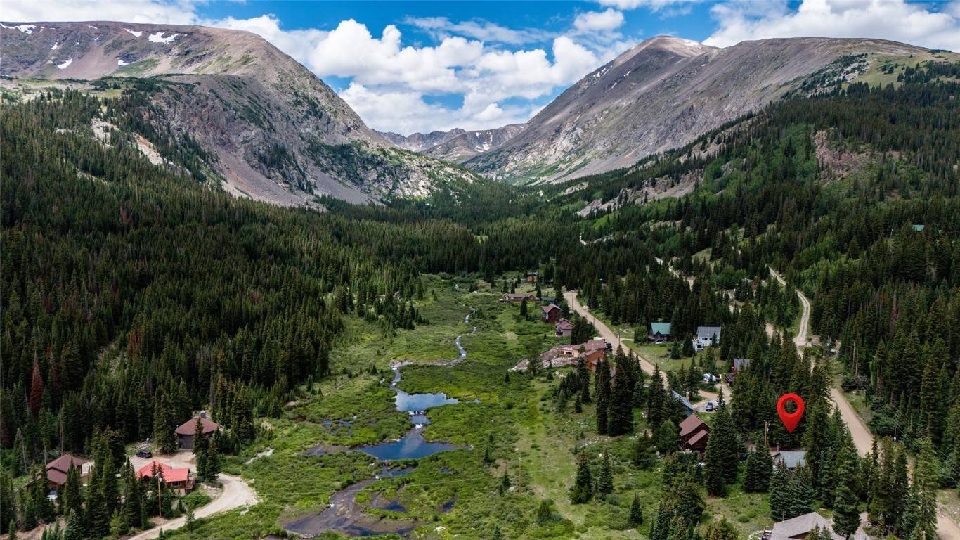 Breckenridge, CO 80424,122 Blue Lakes RD