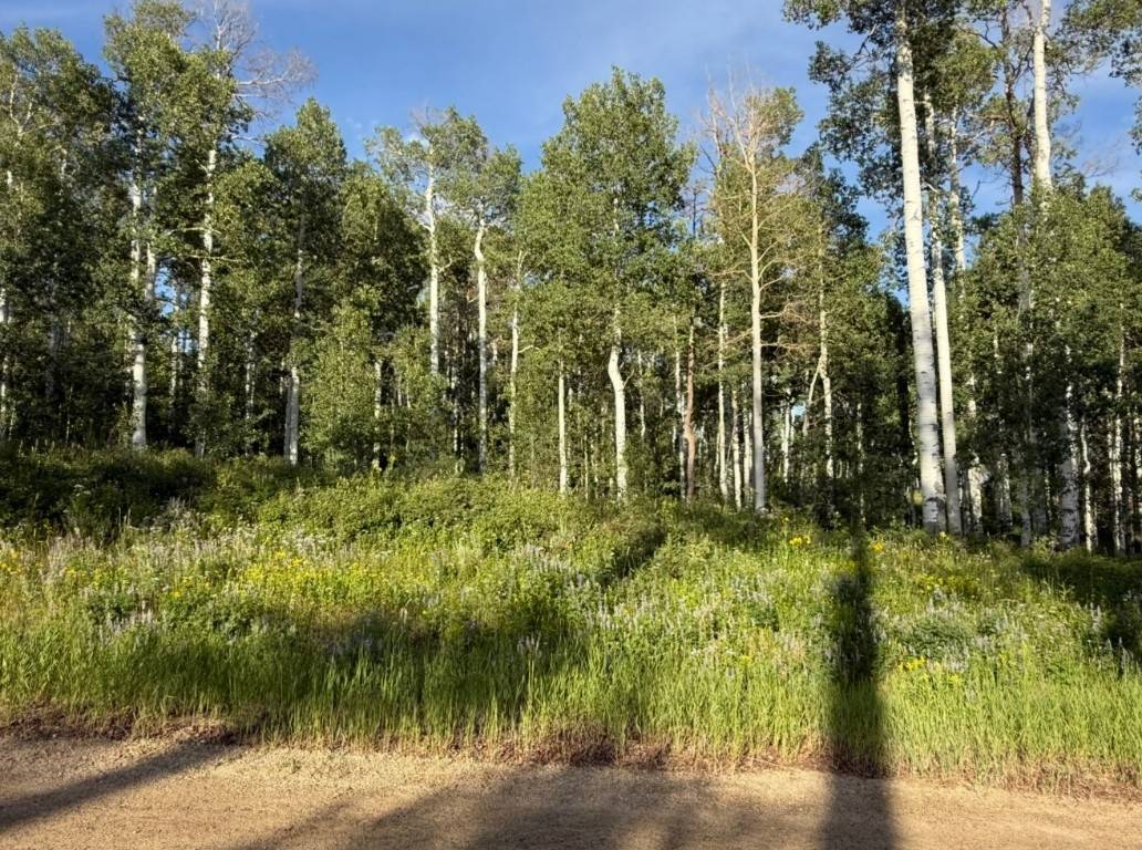 Clark, CO 80428,26320 Beaver Canyon Drive