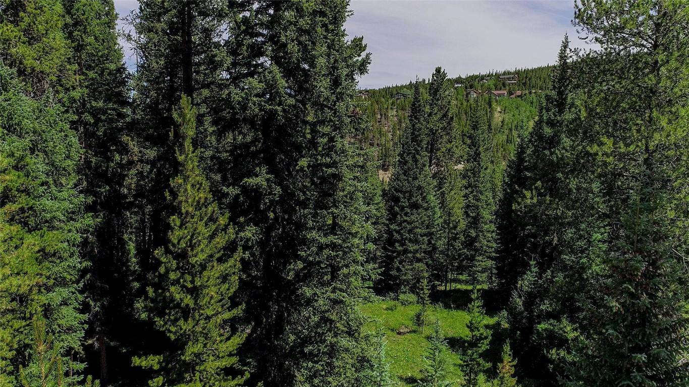 Breckenridge, CO 80424,0289 County Road 535