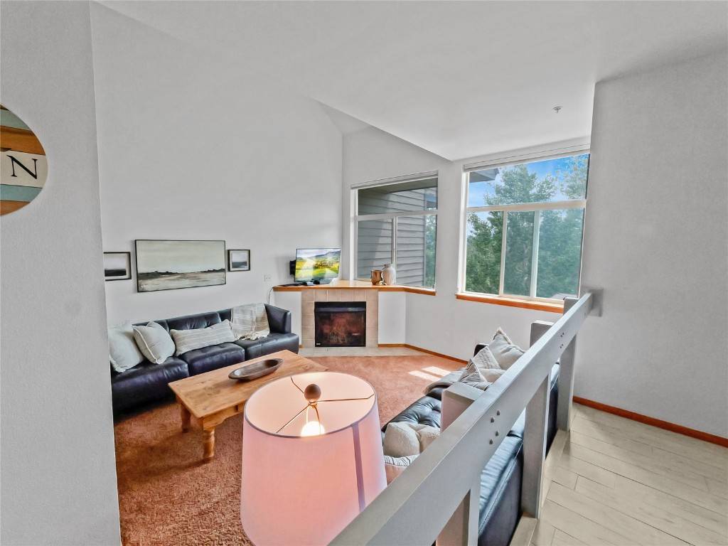 Silverthorne, CO 80498,121 Cydney LN #D