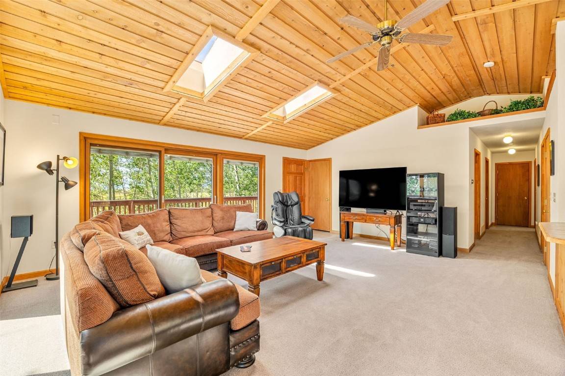 Fairplay, CO 80440,318 Foxtail LN