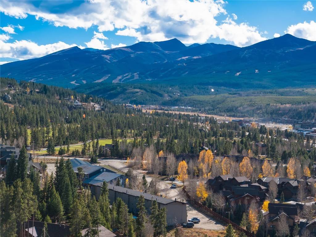 Breckenridge, CO 80424,163 High Tor RD #2