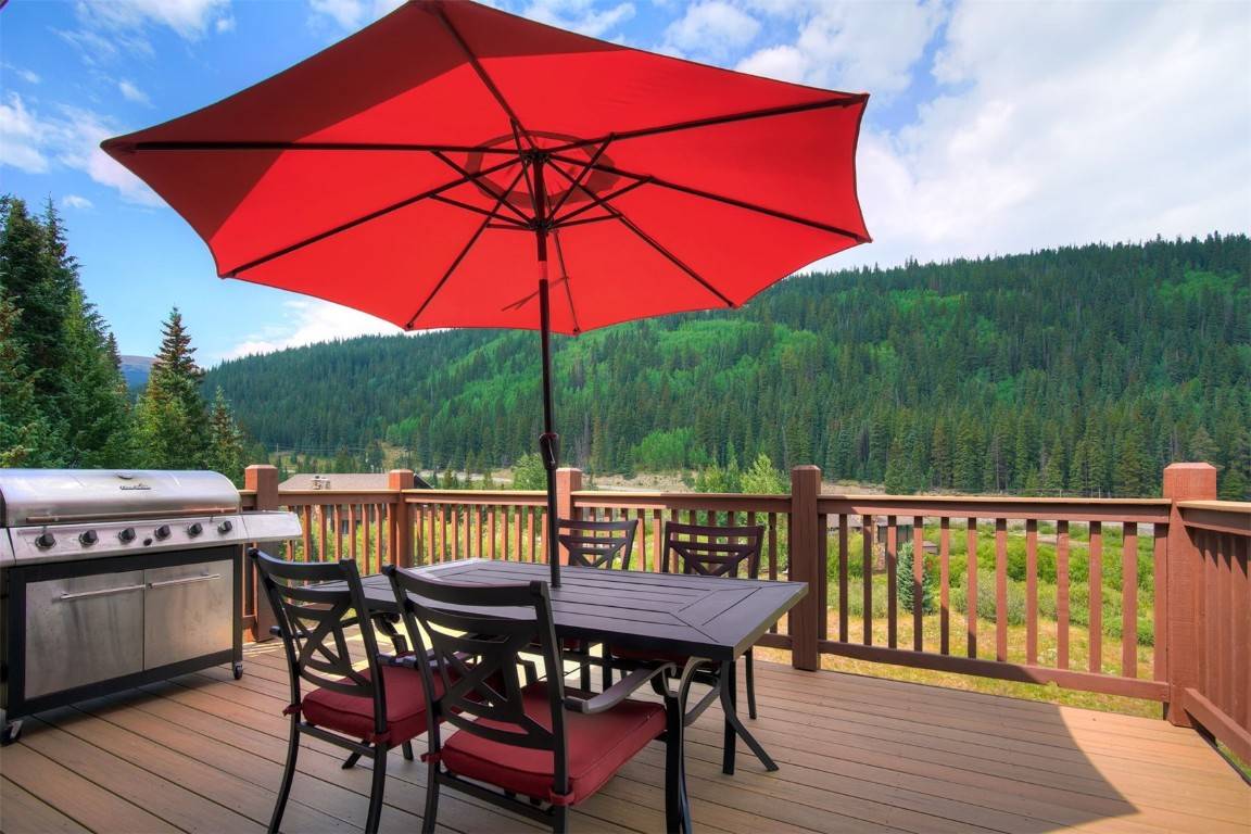 Breckenridge, CO 80424,513 Rena RD