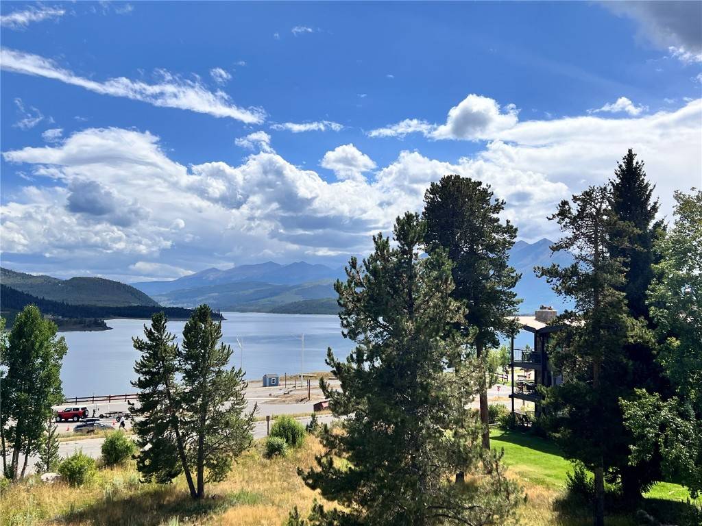 Dillon, CO 80435,160 E La Bonte ST #303