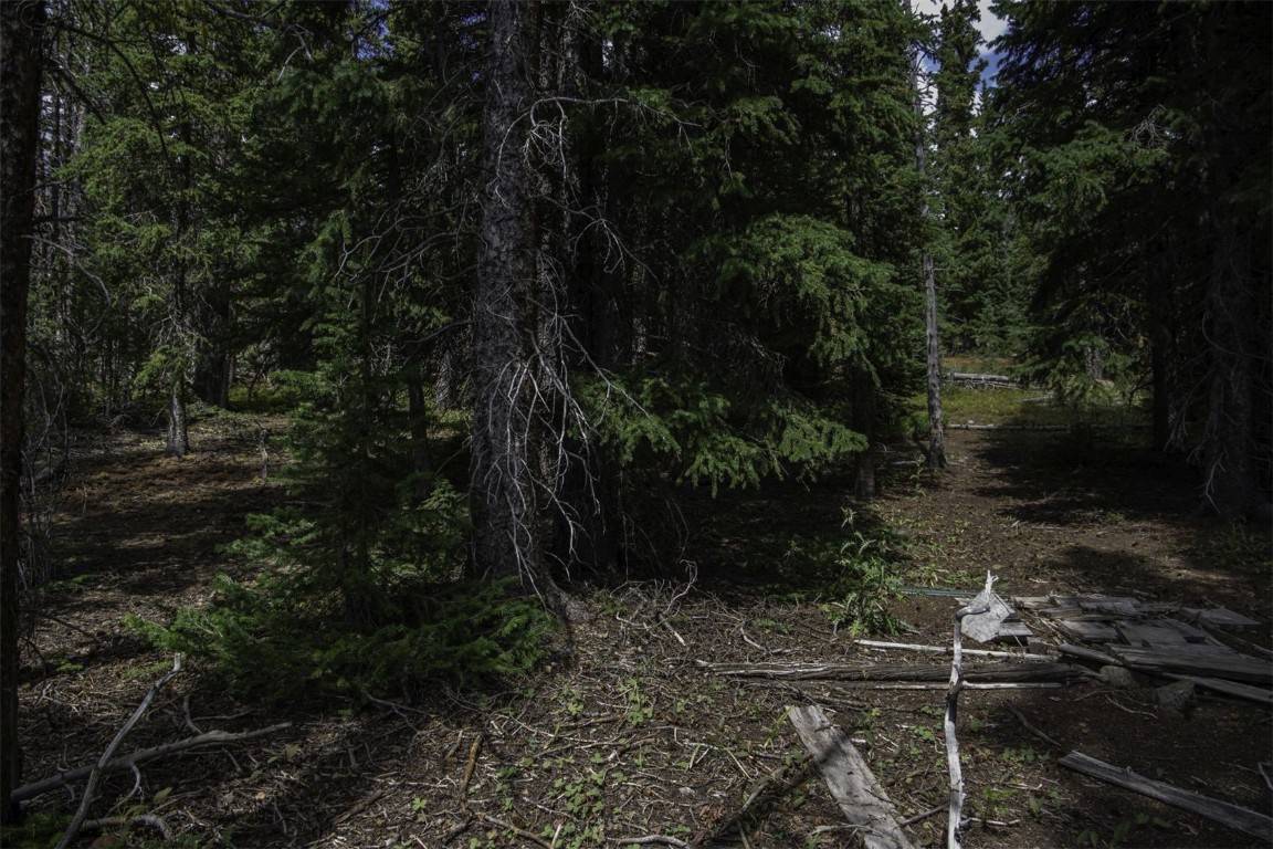 Breckenridge, CO 80424,233 Camron LN