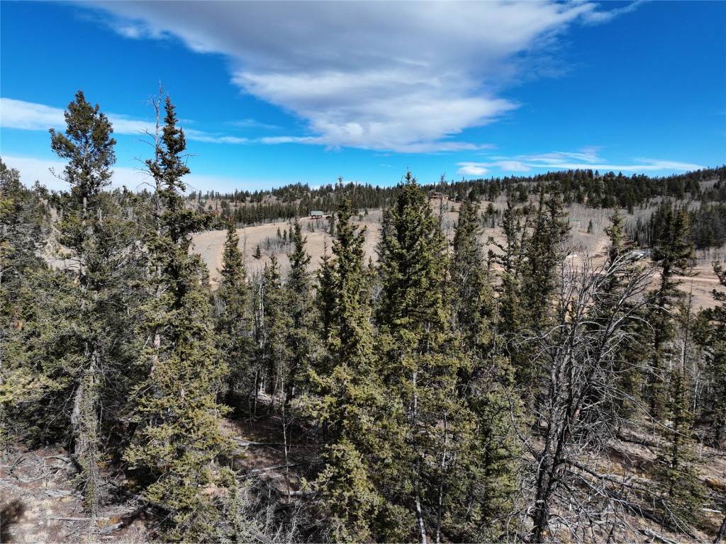 Como, CO 80432,805 Longbow DR