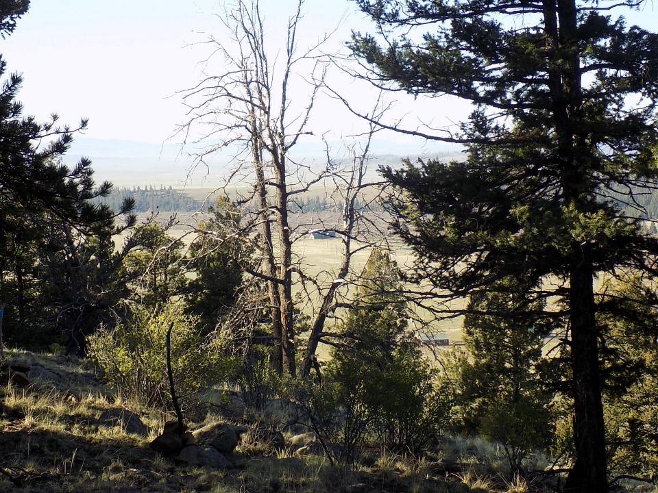 Fairplay, CO 80440,2381 Redhill RD