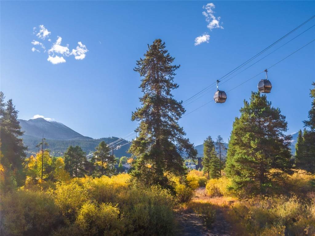 Breckenridge, CO 80424,184 Woods Drive #3