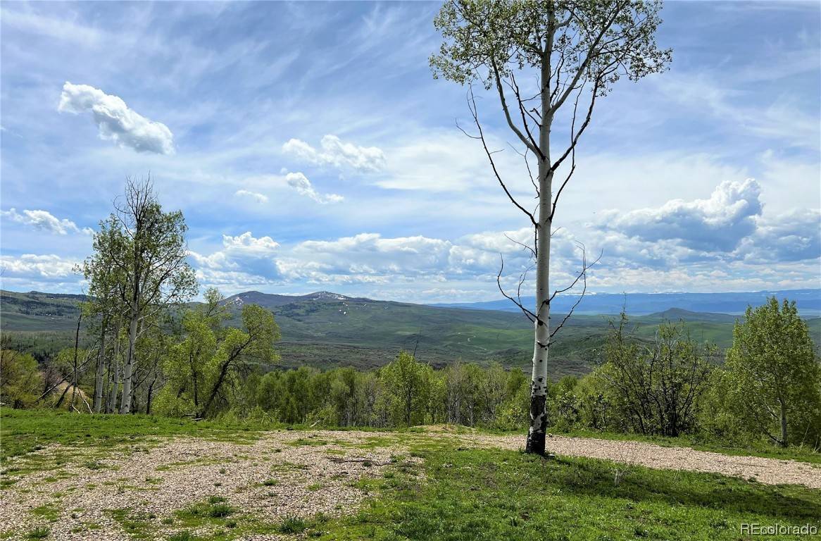Hayden, CO 81639,51255 Big Aspen DR