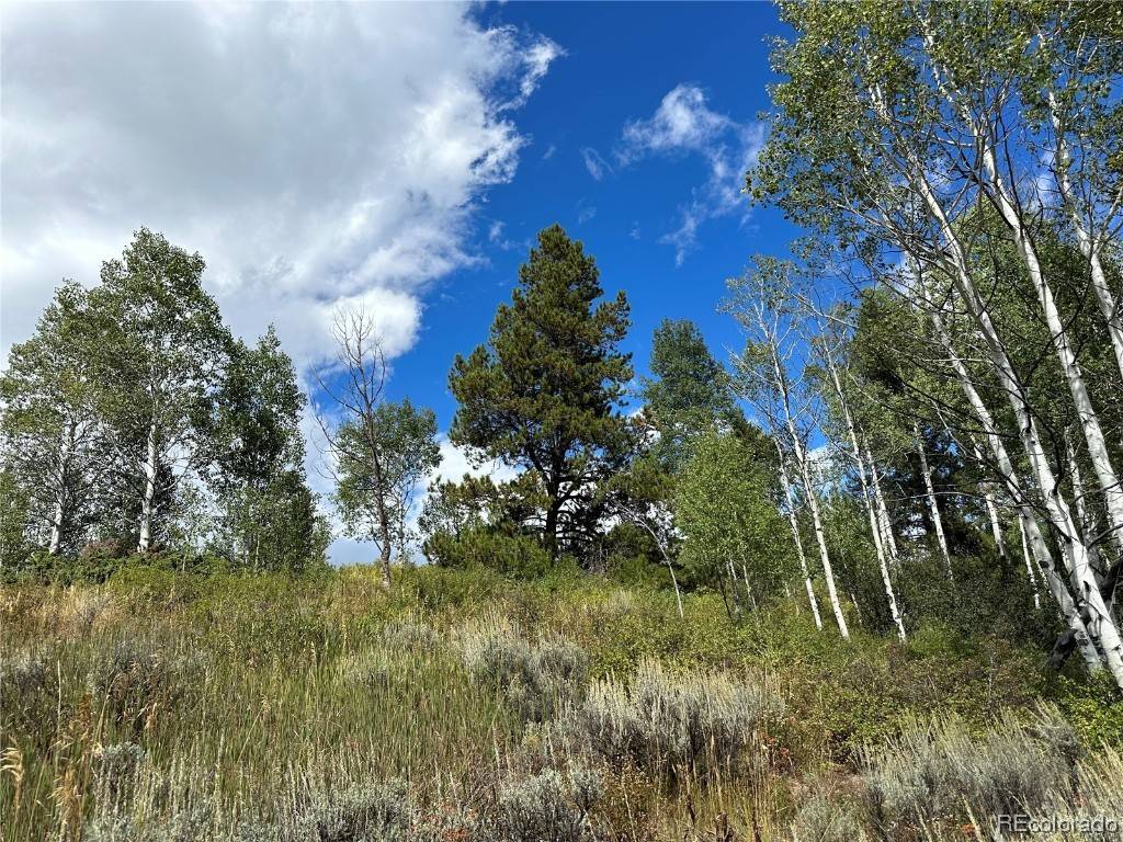 Oak  Creek, CO 80467,000 Hoch Eye WAY