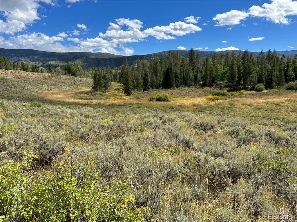 Oak  Creek, CO 80467,000 Hoch Eye WAY