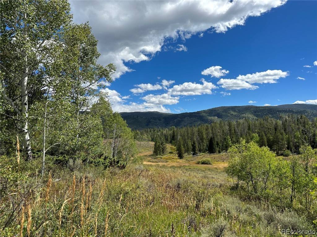 Oak  Creek, CO 80467,000 Hoch Eye WAY