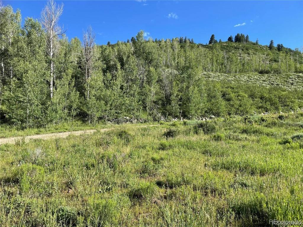 Clark, CO 80428,56285 Zirkel View LN