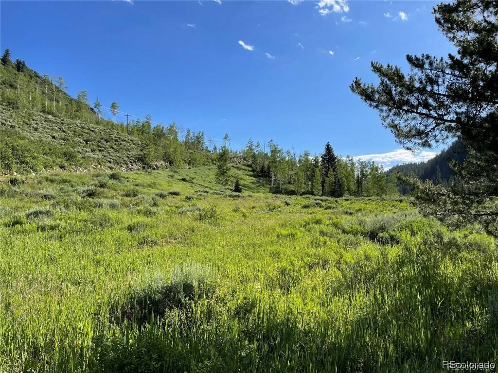 Clark, CO 80428,56285 Zirkel View LN