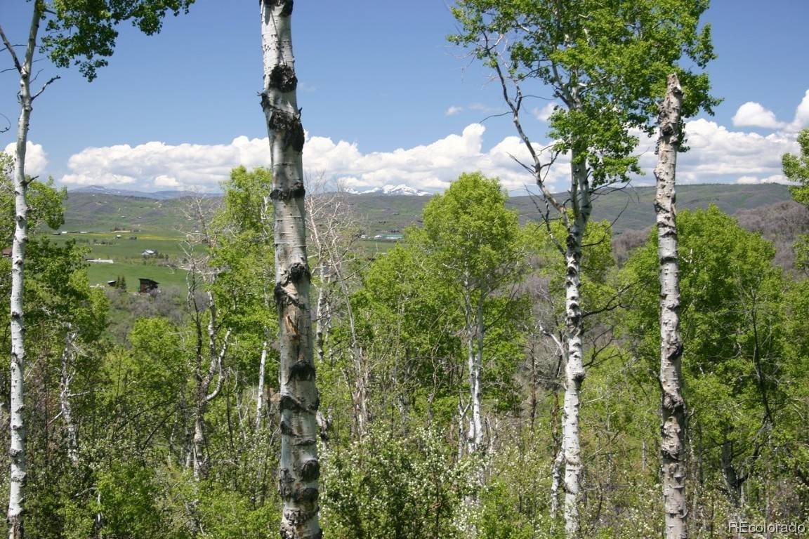 Steamboat  Springs, CO 80487,28255 Valley View LN