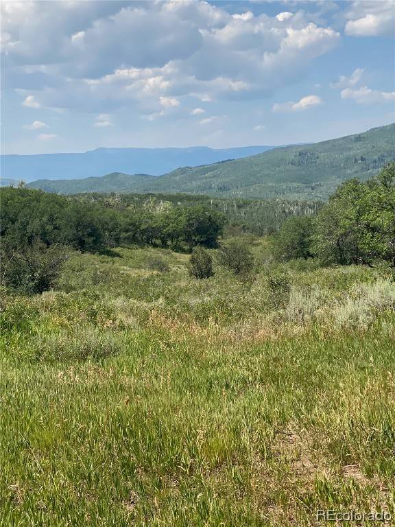 Steamboat  Springs, CO 80477,27165 Sundance TRL