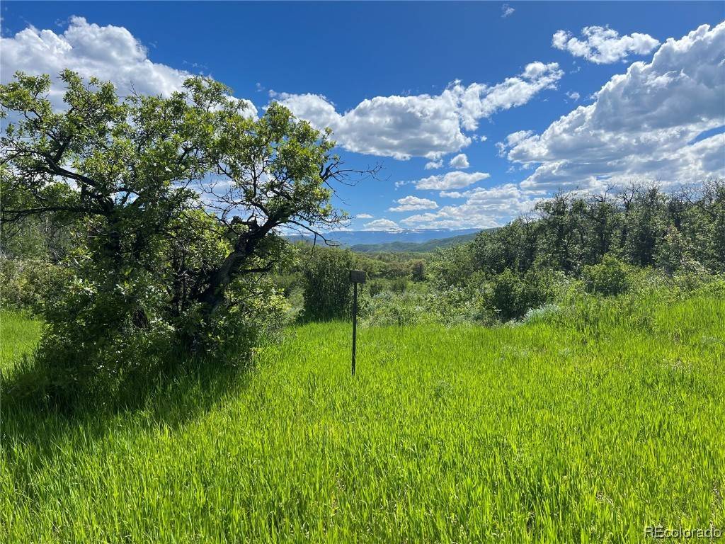Steamboat  Springs, CO 80477,27165 Sundance TRL