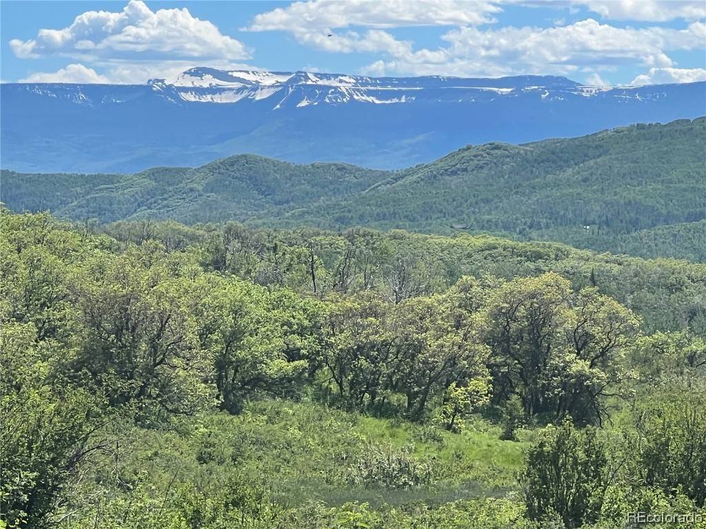 Steamboat  Springs, CO 80477,27165 Sundance TRL