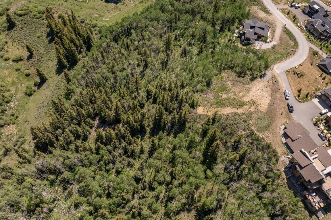 Silverthorne, CO 80498,70 Mayfly DR