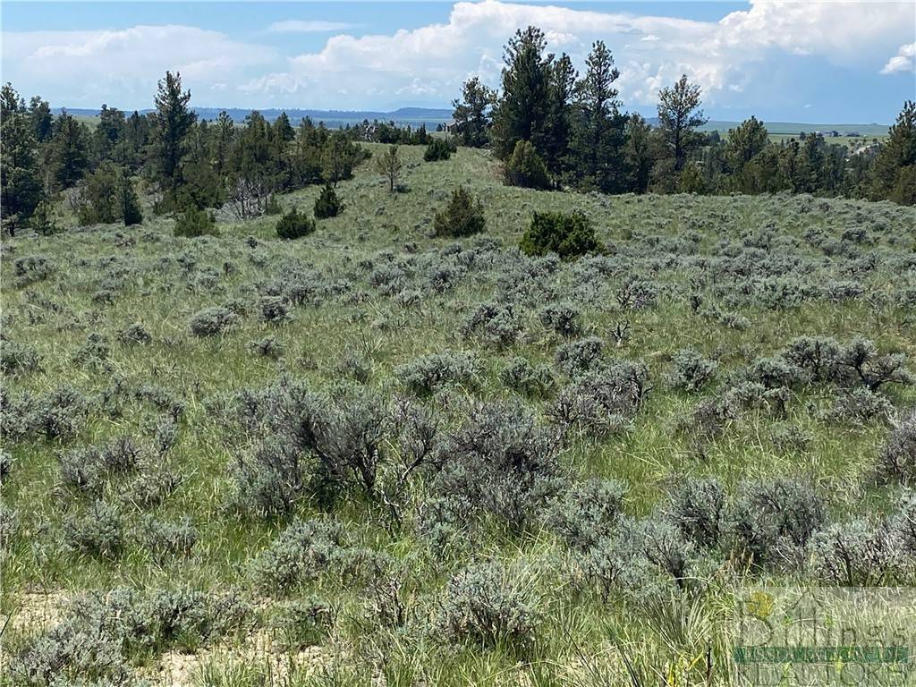 Molt/rapelje, MT 59057,TBD Mountain View Road