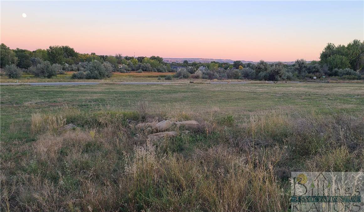 Billings, MT 59105,TBD Gayle Block 17, Lot 4 DR