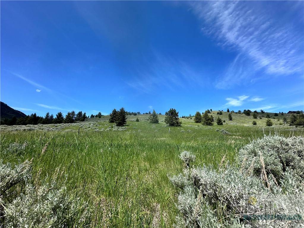 Red Lodge, MT 59068,Lot 4 Wilderness