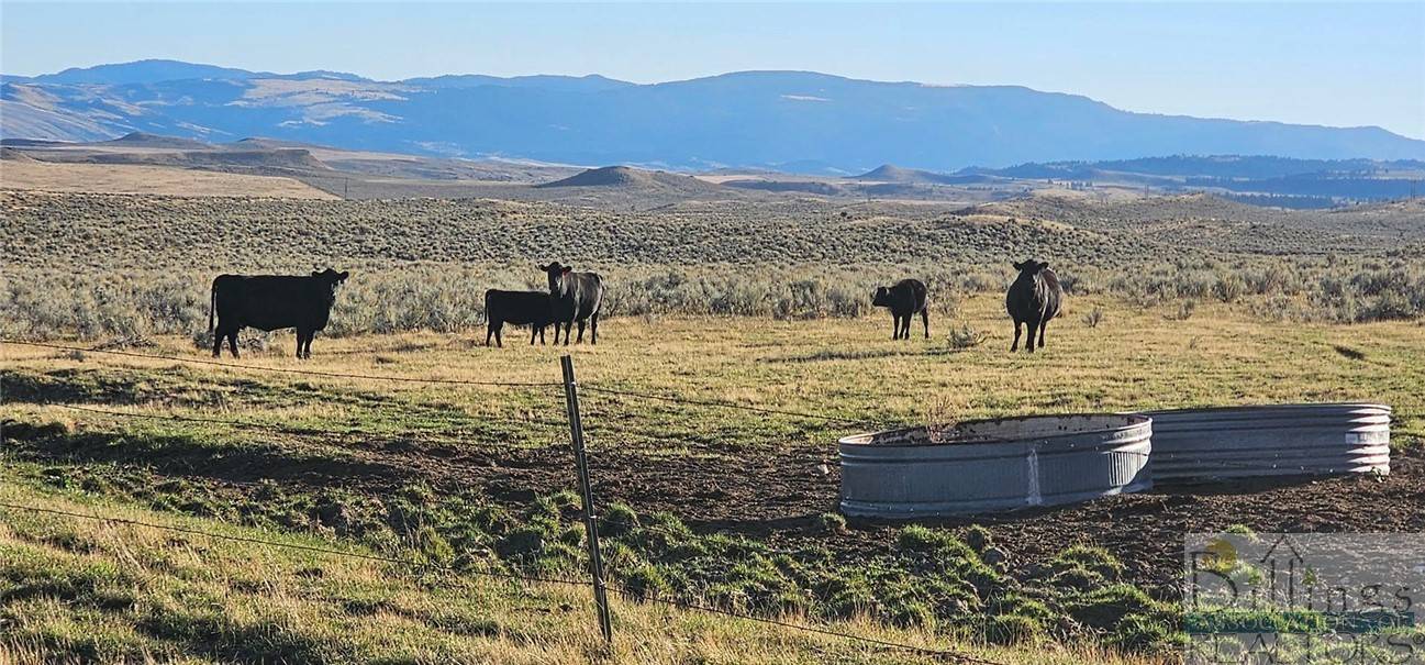 Other-see Remarks, MT 59086,TBD Shy RD