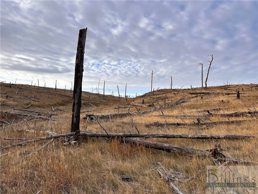 Roundup, MT 59072,TBD Buckskin RD