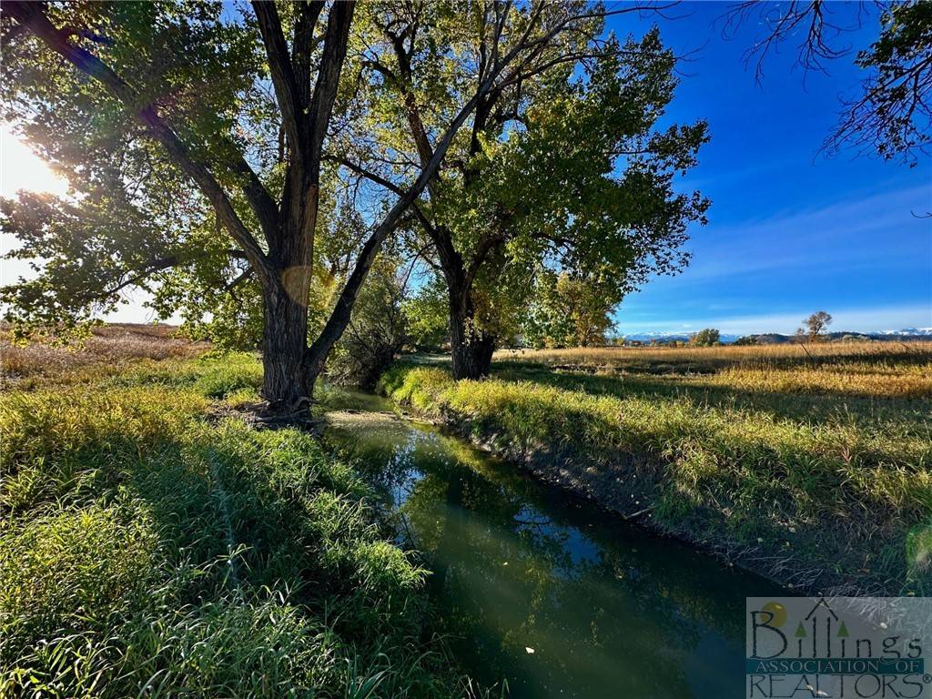 Columbus, MT 59019,TBD Centennial Rd