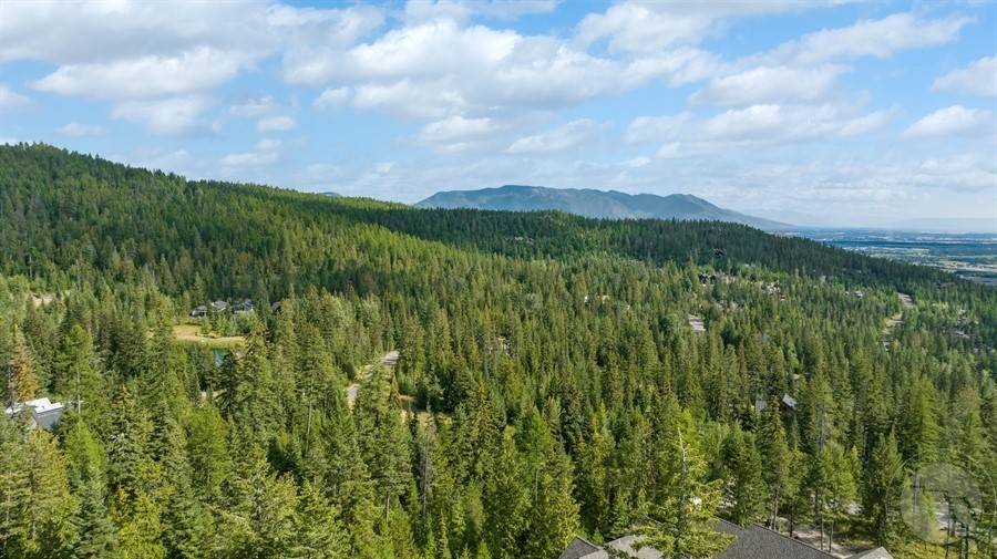 Other-see Remarks, MT 59937,238 S Beargrass Circle, Whitefish