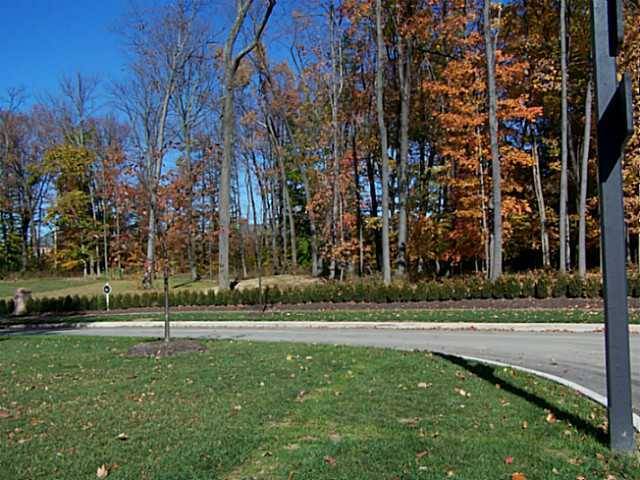 New Albany, OH 43054,7705 Ogden Woods Boulevard #Lot 15