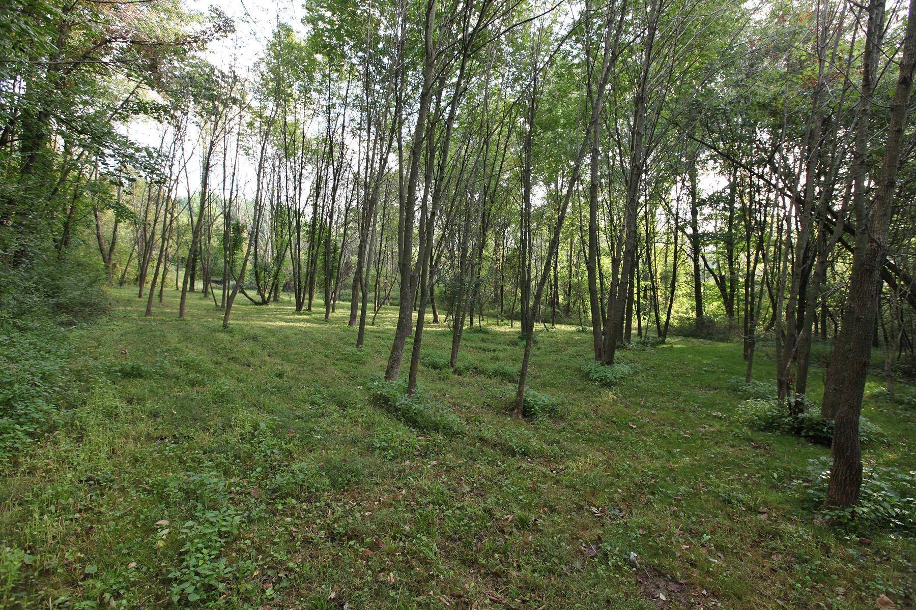 Johnstown, OH 43031,8102 SPORTSMAN CLUB Road