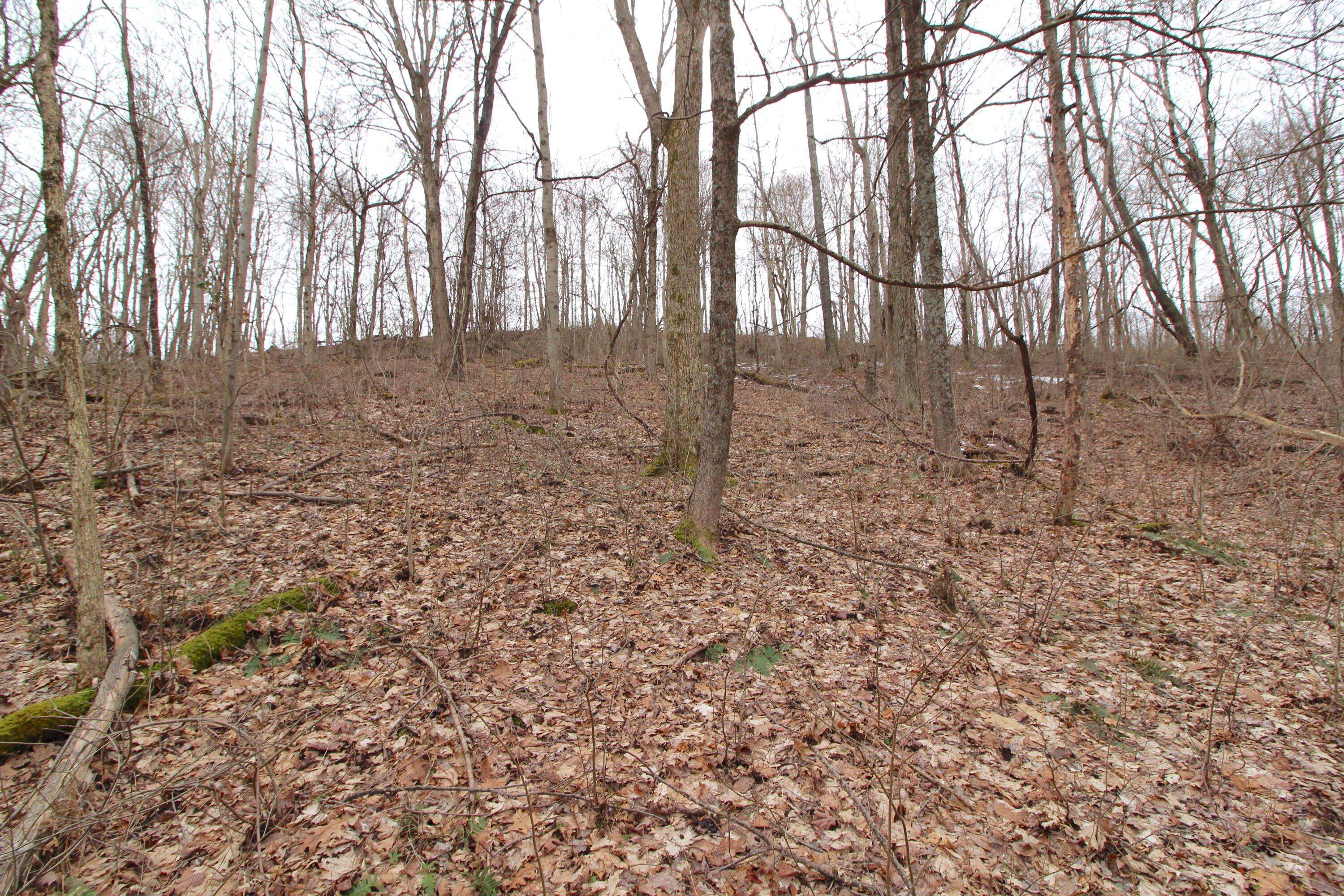 New Matamoras, OH 45767,0 Shay Ridge Road